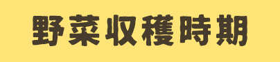 野菜収穫時期