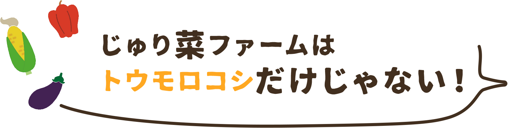 じゅり菜ファームはトウモロコシだけじゃない！