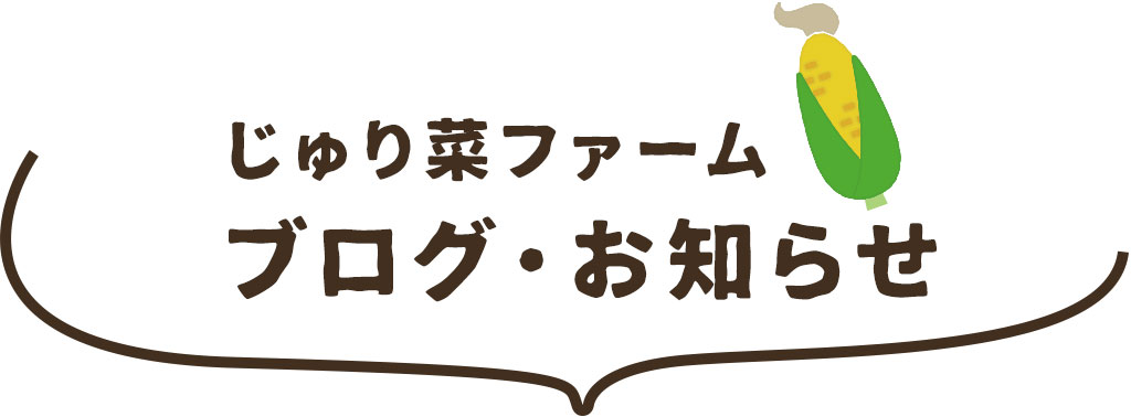 ブログ・お知らせ
