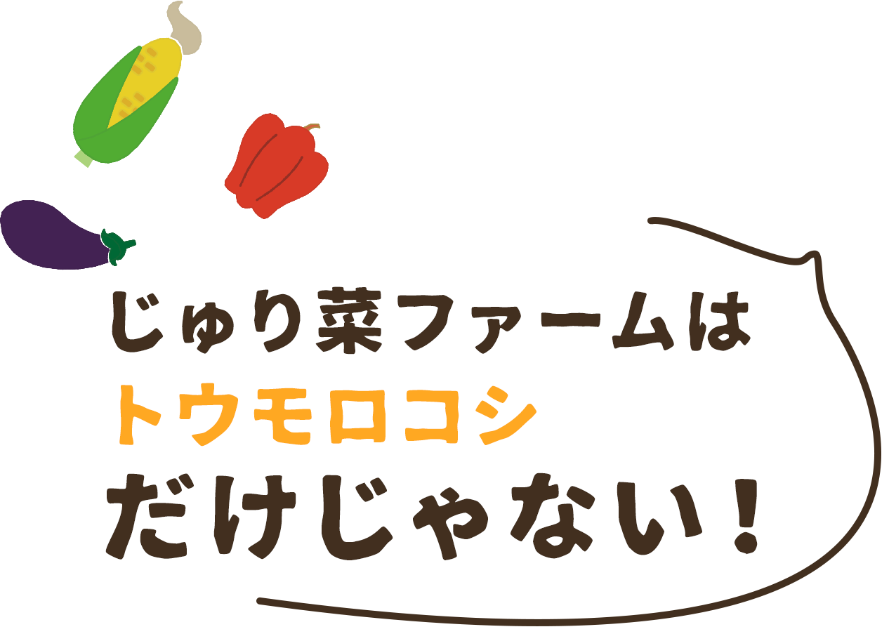 じゅり菜ファームはトウモロコシだけじゃない！