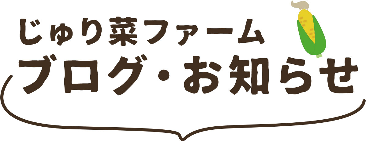 ブログ・お知らせ