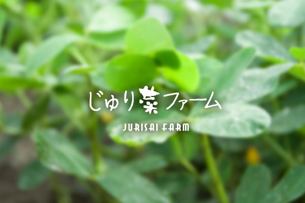 じゅり菜ファーム